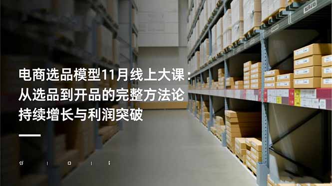 电商选品模型11月线上大课：从选品到开品的完整方法论 持续增长与利润突破-幼小初高学社