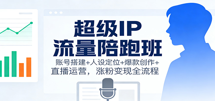 超级IP流量陪跑班：账号搭建+人设定位+爆款创作+直播运营，涨粉变现全流程-幼小初高学社