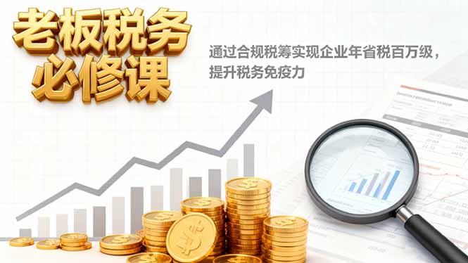 老板税务必修课，通过合规税筹实现企业年省税百万级，提升税务免疫力-幼小初高学社