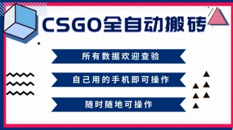 CSGO全自动搬砖，年底钱回家好项目，当天可拿到结果，新手小白轻松月入1W+【揭秘】-幼小初高学社