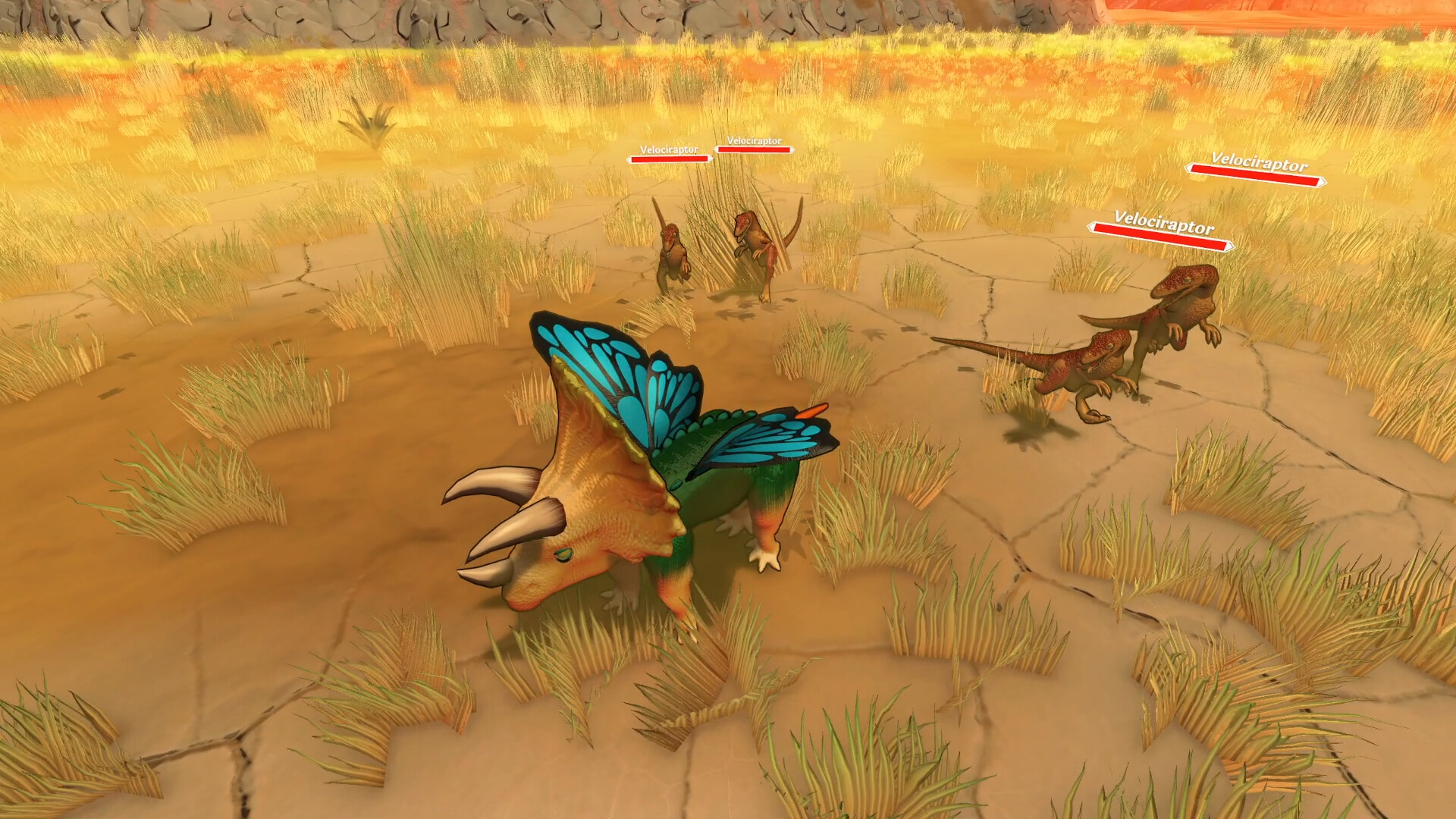 奇异种子/Strange Seed