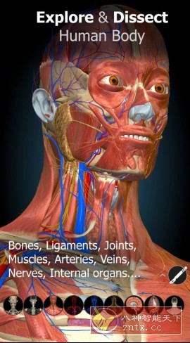 Anatomy Learning 3D解剖学v3.1.466高级版-幼小初高学社