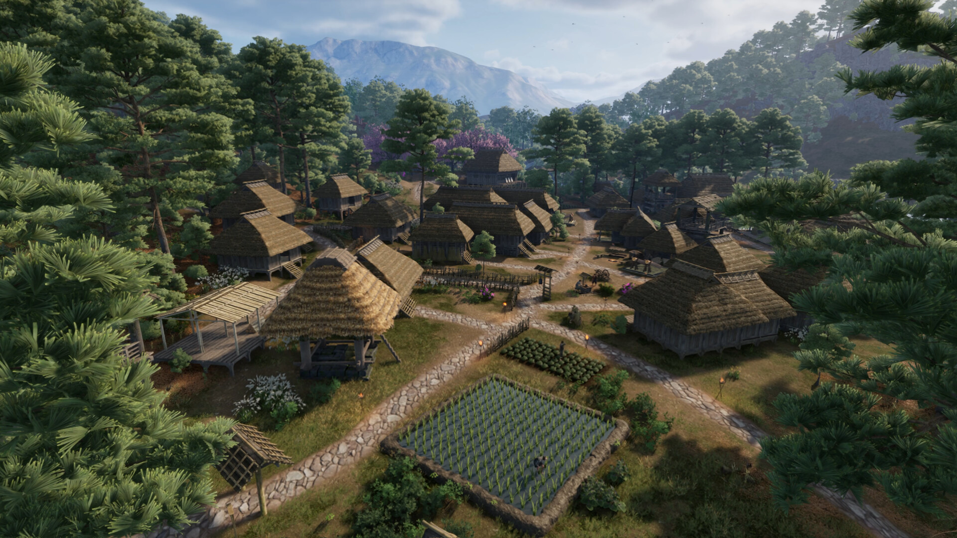 战国王朝/Sengoku Dynasty-幼小初高学社