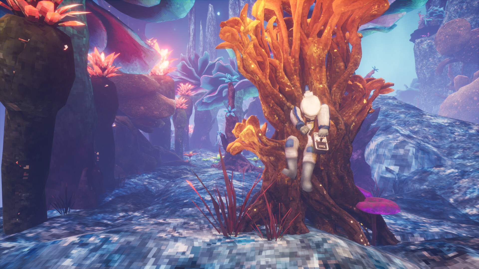 非生物因素/Abiotic Factor-幼小初高学社