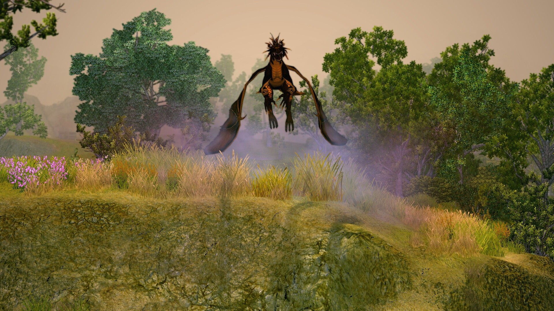 圣域2：重制版/Sacred 2 Remaster-幼小初高学社