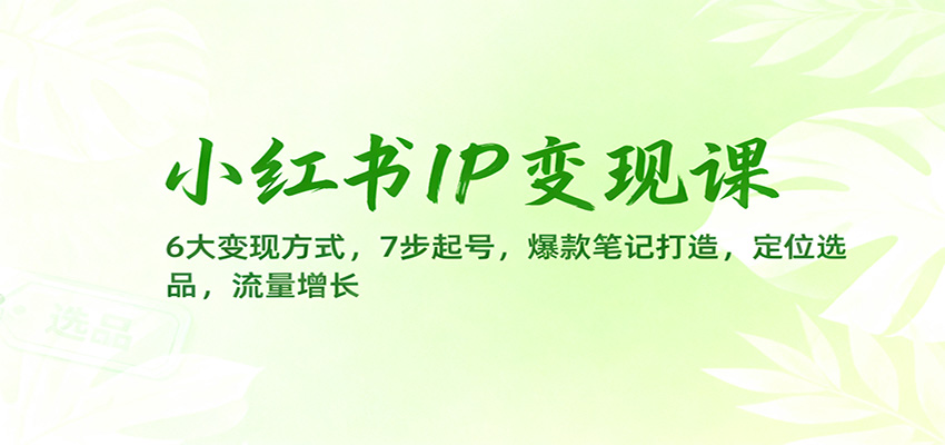 小红书IP变现课：6大变现方式，7步起号，爆款笔记打造，定位选品，流量增长-幼小初高学社