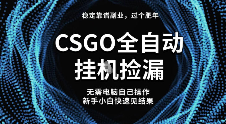 【稳定副业】全球最热门游戏CSGO全自动捡漏，最新玩法，新手小白日入5张+【揭秘】-幼小初高学社