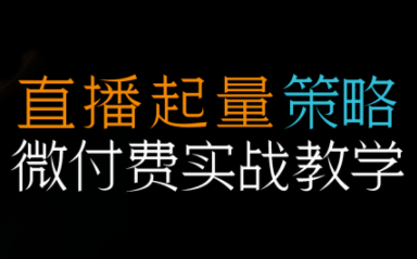半野老师·直播带货起量与微付费必学课视频号-幼小初高学社