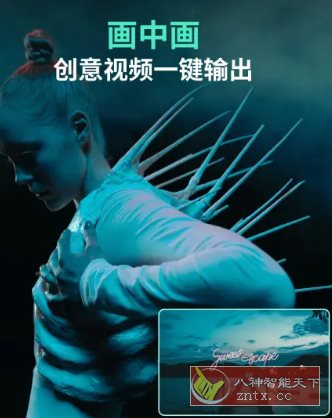 Filmora万兴喵影 v14.7.00 高级版-幼小初高学社