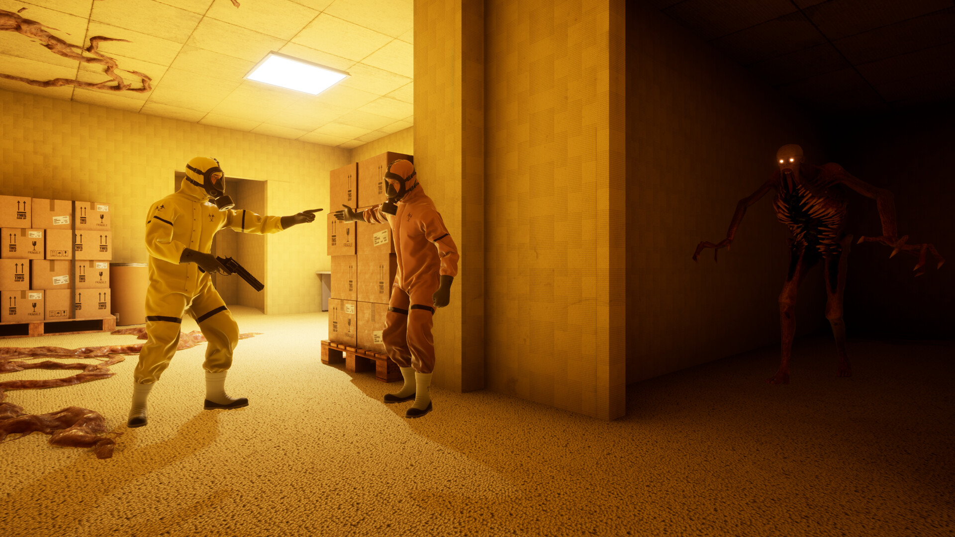 BACKROOMS: 恐惧/BACKROOMS: APPREHENSION-幼小初高学社