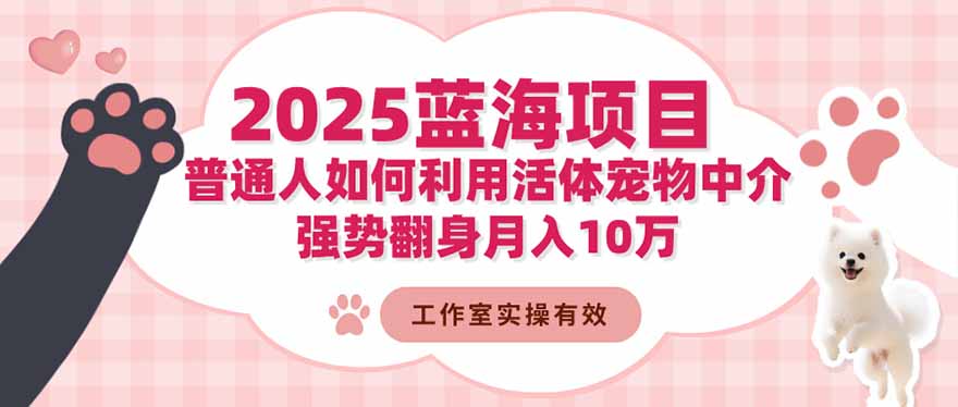 2025蓝海项目：普通人如何利用活体宠物中介，强势翻身月入10万-幼小初高学社