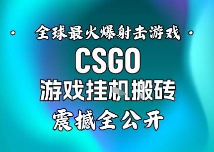 【年底大揭秘】基于全球最火爆的射击CSGO游戏挂G搬砖,日入5张+,震撼公开-幼小初高学社
