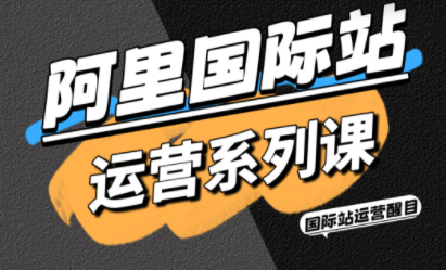 醒目老师·阿里国际站运营系列课(更新11月)-幼小初高学社