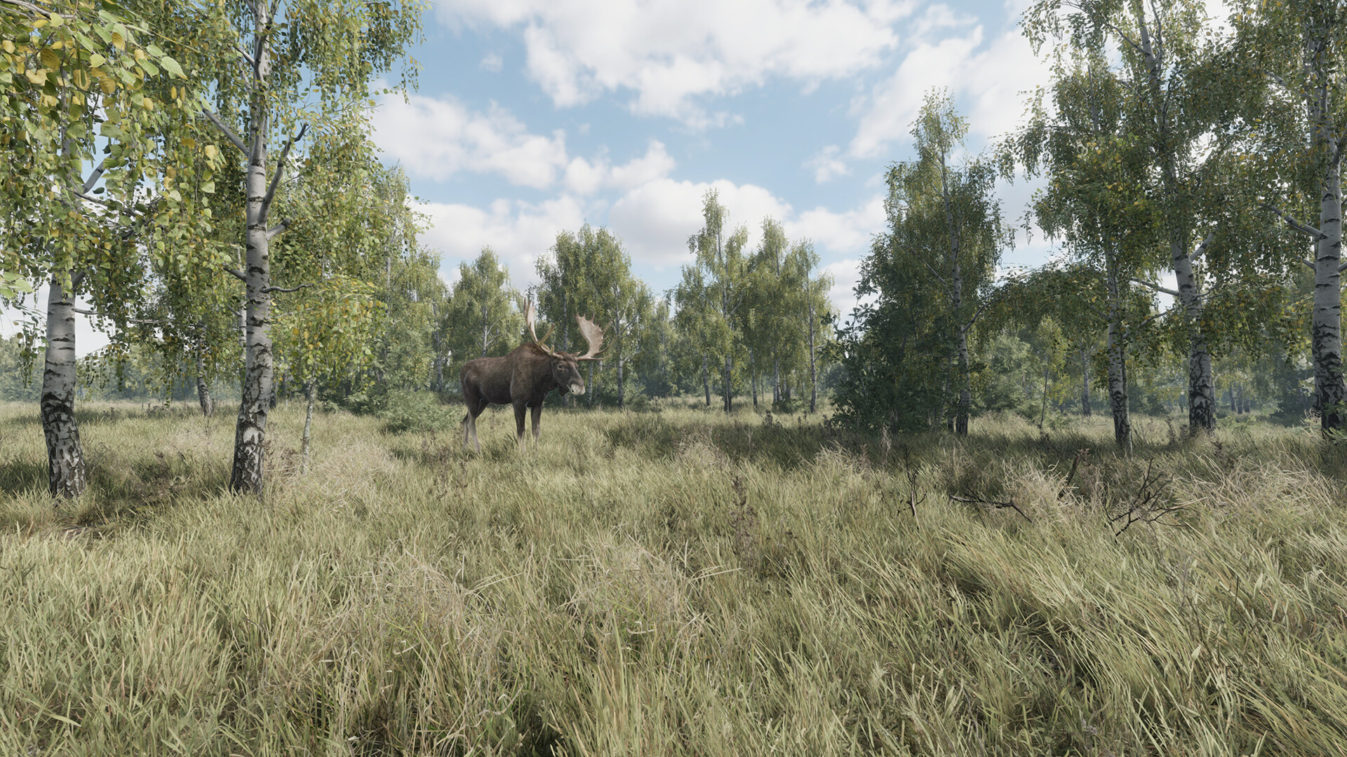 猎捕行动/On the Hunt-幼小初高学社