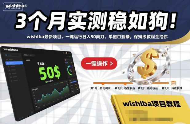 3个月实测稳如狗！wishlba最新项目，一键运行日入50美刀，单窗口躺挣，保姆级教程全给你【揭秘】-幼小初高学社