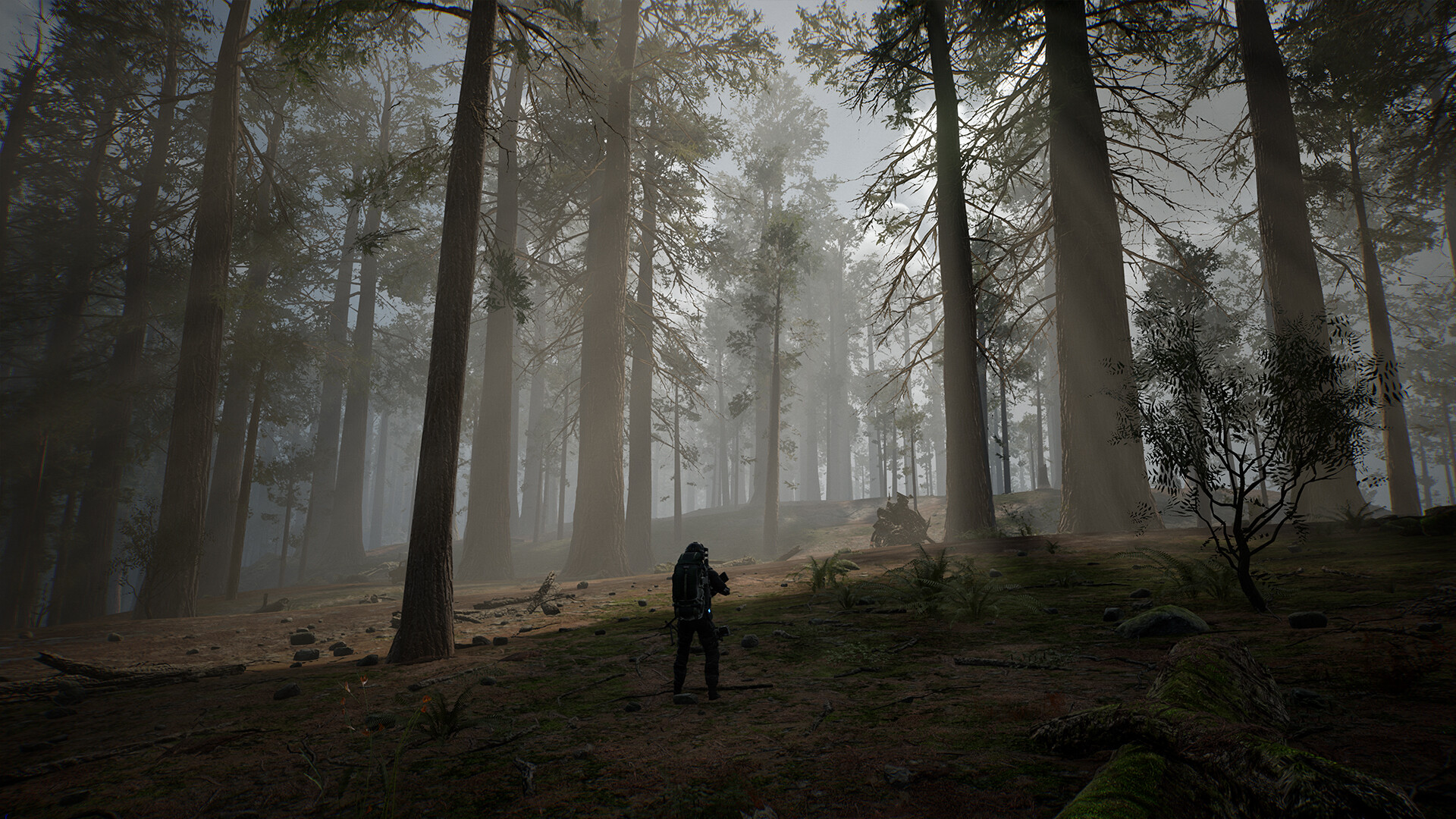 生命效应/LIFE EFFECT