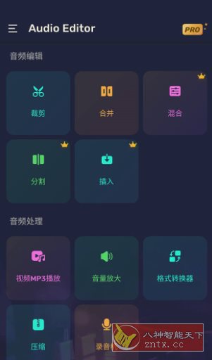 Audio Editor Pro Pro音频编辑器v1.01.72.0623专业版-幼小初高学社