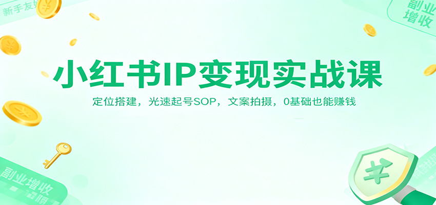 小红书IP变现实战课：定位搭建，光速起号SOP，文案拍摄，0基础也能赚钱-幼小初高学社