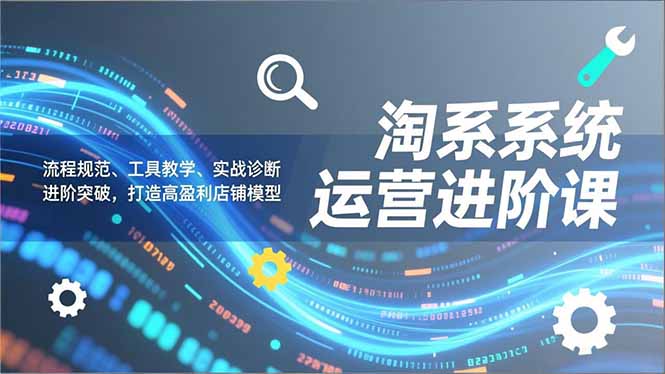 淘系系统运营进阶课2.0，流程规范、工具教学、实战诊断，进阶突破，打造高盈利店铺模型-幼小初高学社