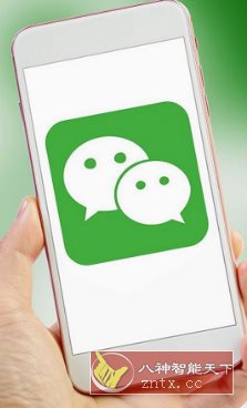 微信内测版v8.0.61 beta 20250617-幼小初高学社