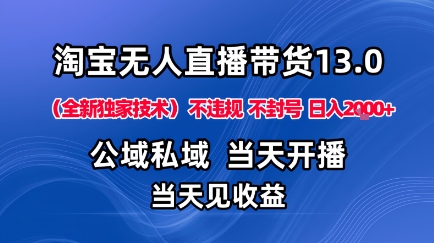 淘宝无人直播13.0，公域私域技术，不封号，不违规布局下半年旺季赛道，日入1K+(独家技术)【揭秘】-幼小初高学社