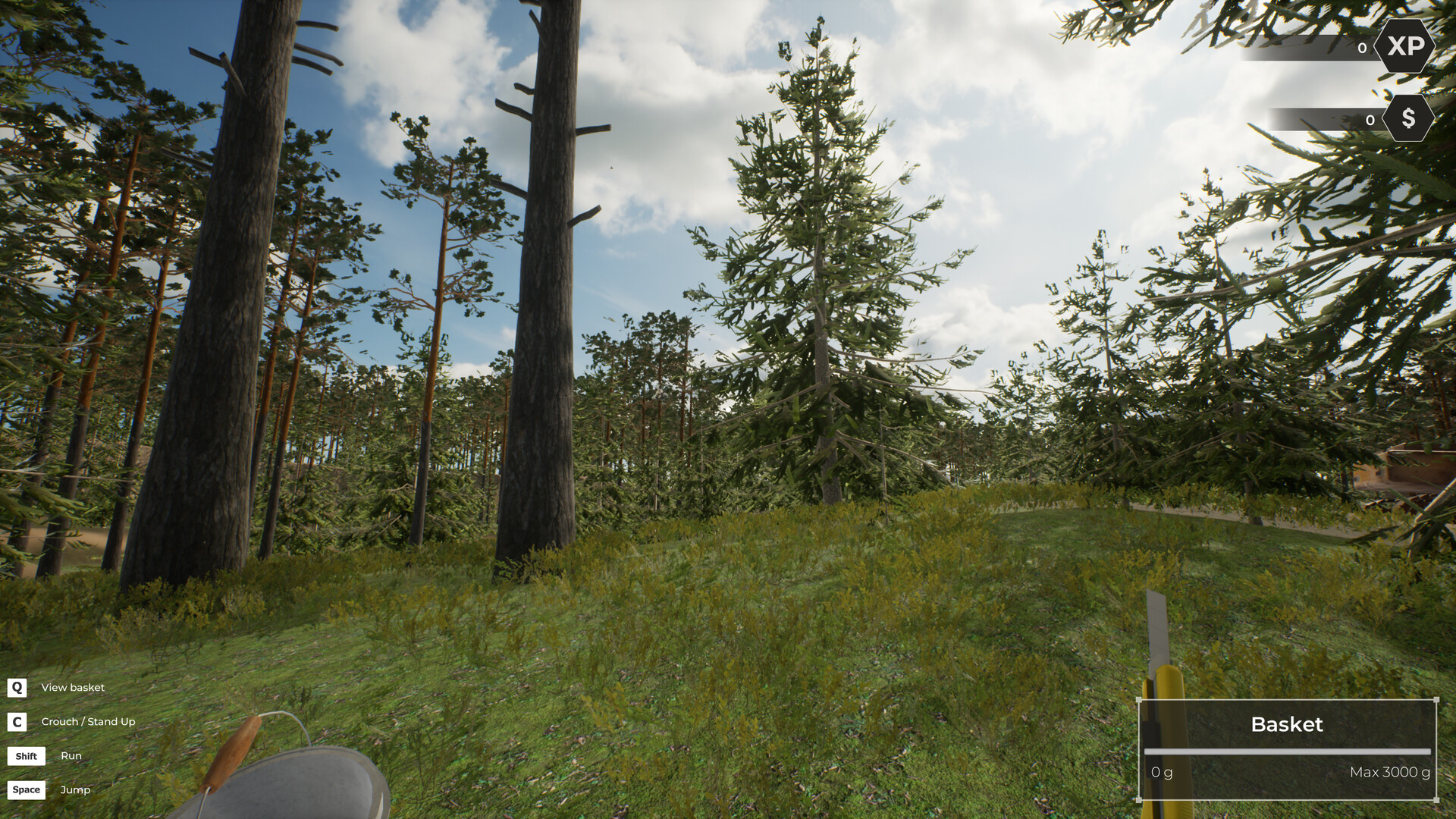 蘑菇猎人世界/Mushroom Hunter World-幼小初高学社