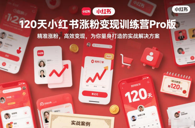 120天小红书涨粉变现训练营Pro版，精准涨粉，高效变现，为你量身打造的实战解决方案-幼小初高学社
