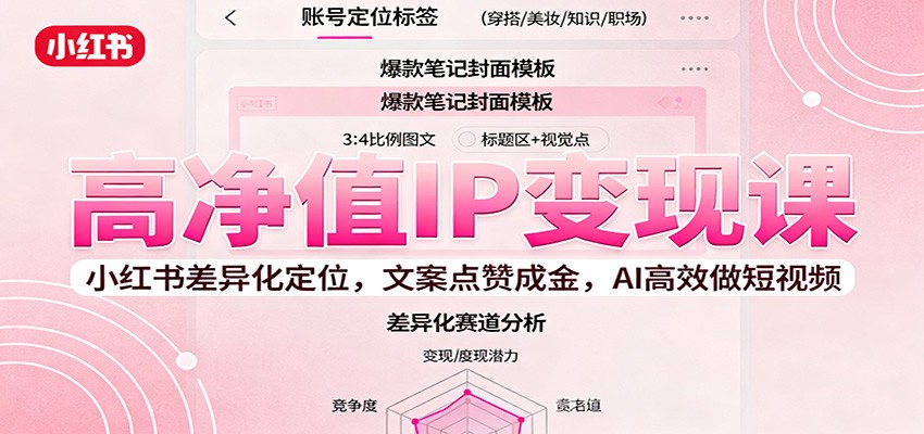 高净值IP变现课：小红书差异化定位，文案点赞成金， AI高效做短视频-幼小初高学社