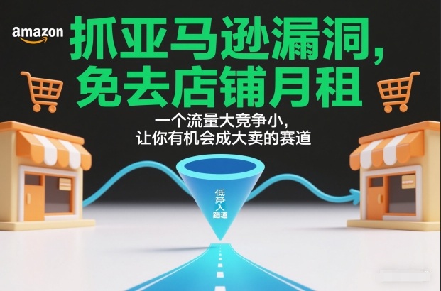 抓亚马逊漏洞，免去店铺月租，一个流量大竞争小，让你有机会成大卖的赛道-幼小初高学社