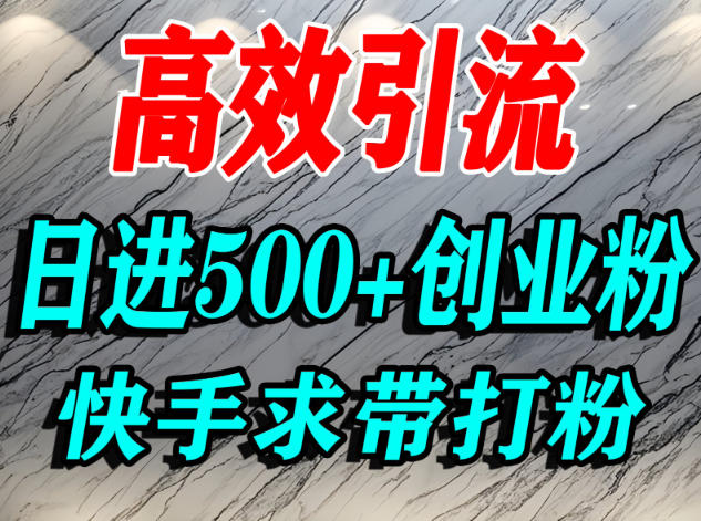 怎么打创业粉？快手求带视角精准引流创业粉，宝妈、学生群体日进500+精准流量-幼小初高学社