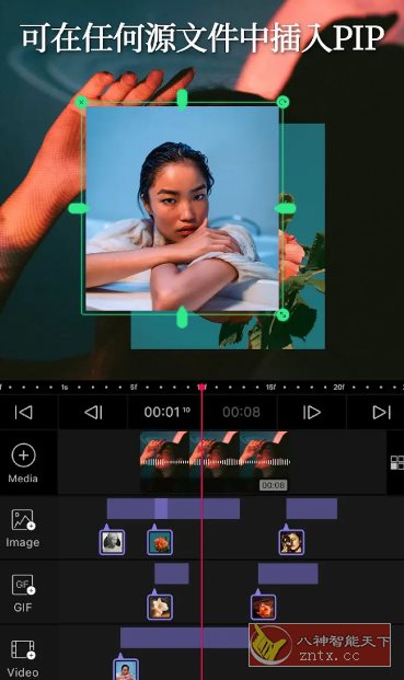 VLLO视频编辑器 v12.3.2高级版-幼小初高学社