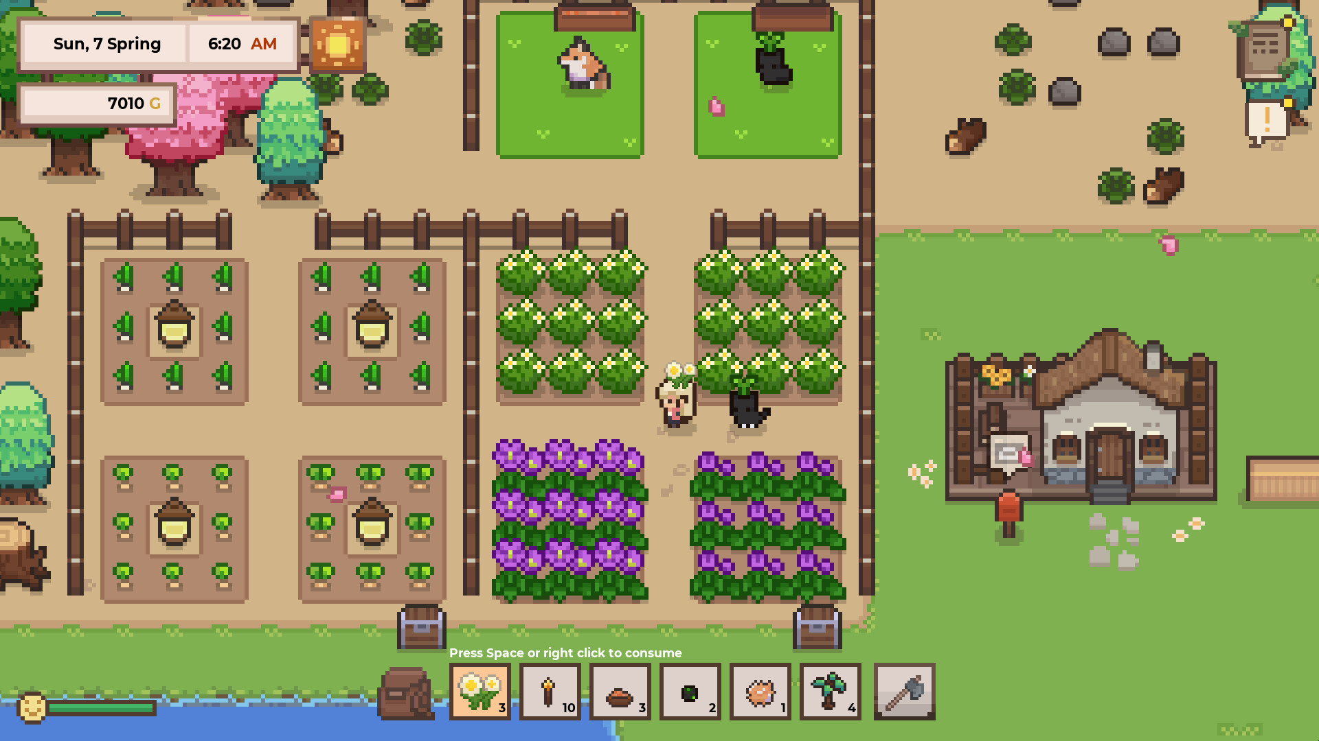 研究物语/Research Story-幼小初高学社