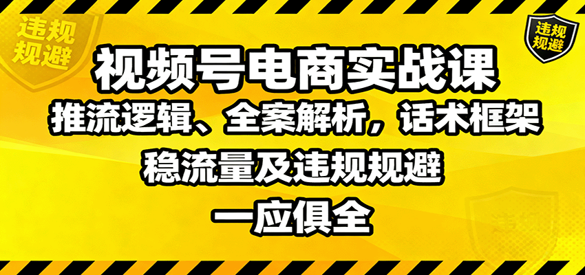 视频号电商实战课：推流逻辑、全案解析，话术框架，稳流量及违规规避等-幼小初高学社