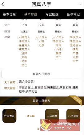 问真八字v2.4.1高级版-幼小初高学社