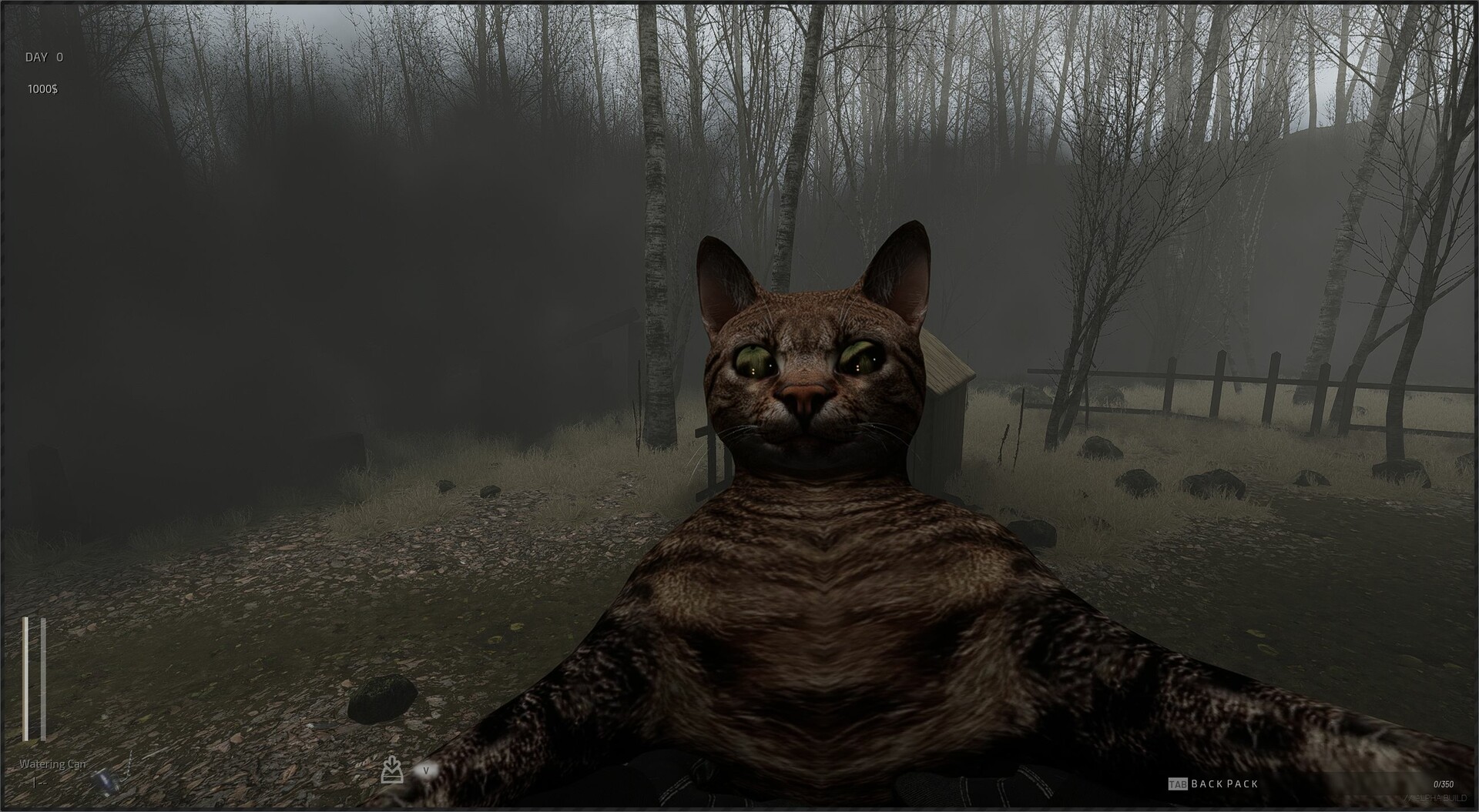 森林之下/Descending The Woods 森林之下/Descending The Woods