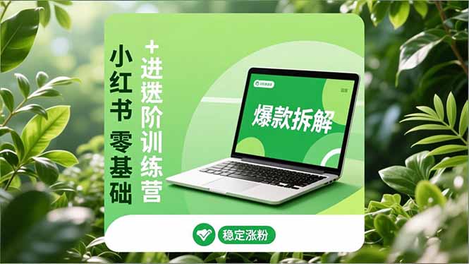 小红书零基础+高阶训练营：安全养号、爆款拆解、长效运营，实现稳定涨粉与变现-幼小初高学社