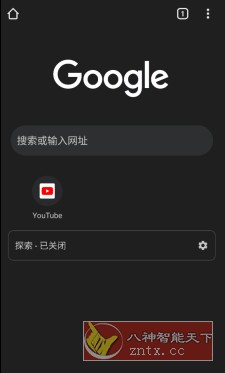 谷歌浏览器 Google Chrome v135.0.7049.79离线清爽版-幼小初高学社