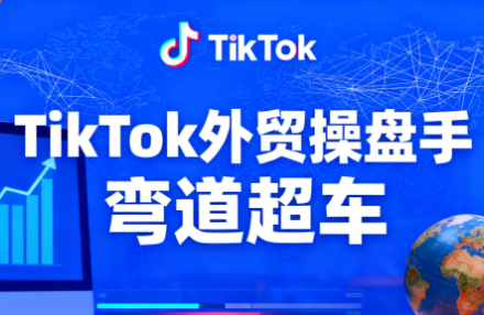 TikTok外贸操盘手(更新11月)-幼小初高学社