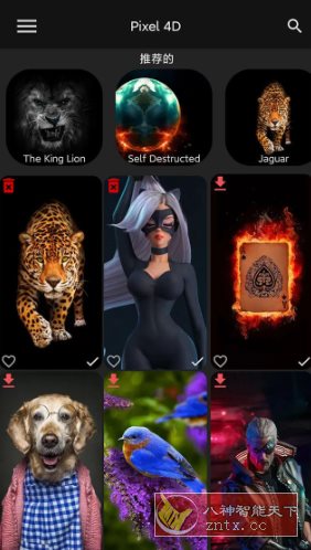 Pixel 4D 动态壁纸v3.4.4高级版-幼小初高学社