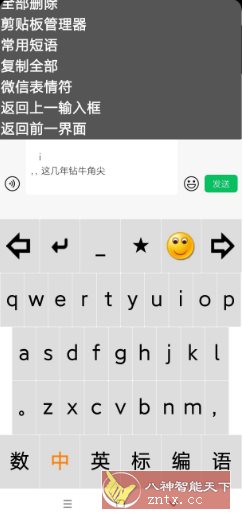 点明输入法v3.0.0729 --专为视障朋友打造的盲用输入法-幼小初高学社