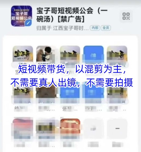 宝子哥头部团队短视频带货,以混剪为主,不需要真人出镜,不需要拍摄【更新11月】-幼小初高学社