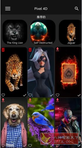 Pixel 4D 动态壁纸 v3.4.2.1高级版-幼小初高学社
