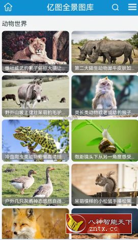 亿图 v1.2.6纯净版-幼小初高学社