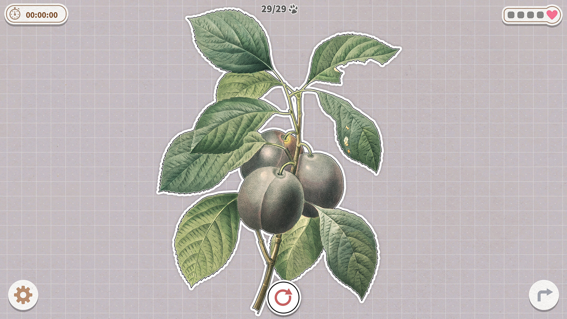 挤在一起的植物/Plants Huddled Together-幼小初高学社