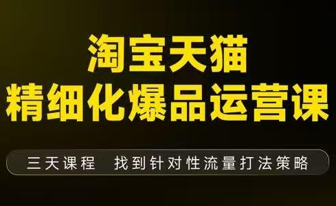 猫课子幽·淘宝天猫精细化爆品运营【音频+字幕+文档】(9月12-14杭州线下课)-幼小初高学社