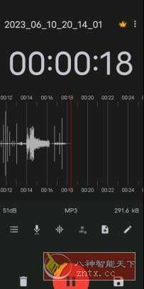 ASR Pro 录音机v540 专业版-幼小初高学社