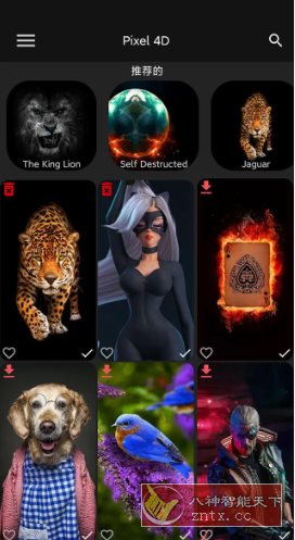 Pixel 4D 动态壁纸 v3.4.0高级版-幼小初高学社