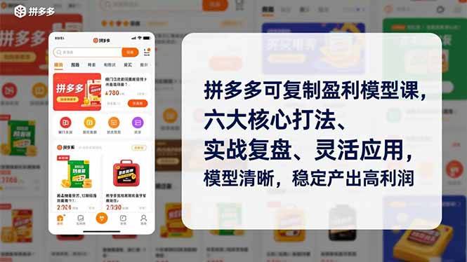 拼多多可复制盈利模型课，六大核心打法、实战复盘、灵活应用，模型清晰，稳定产出高利润-幼小初高学社