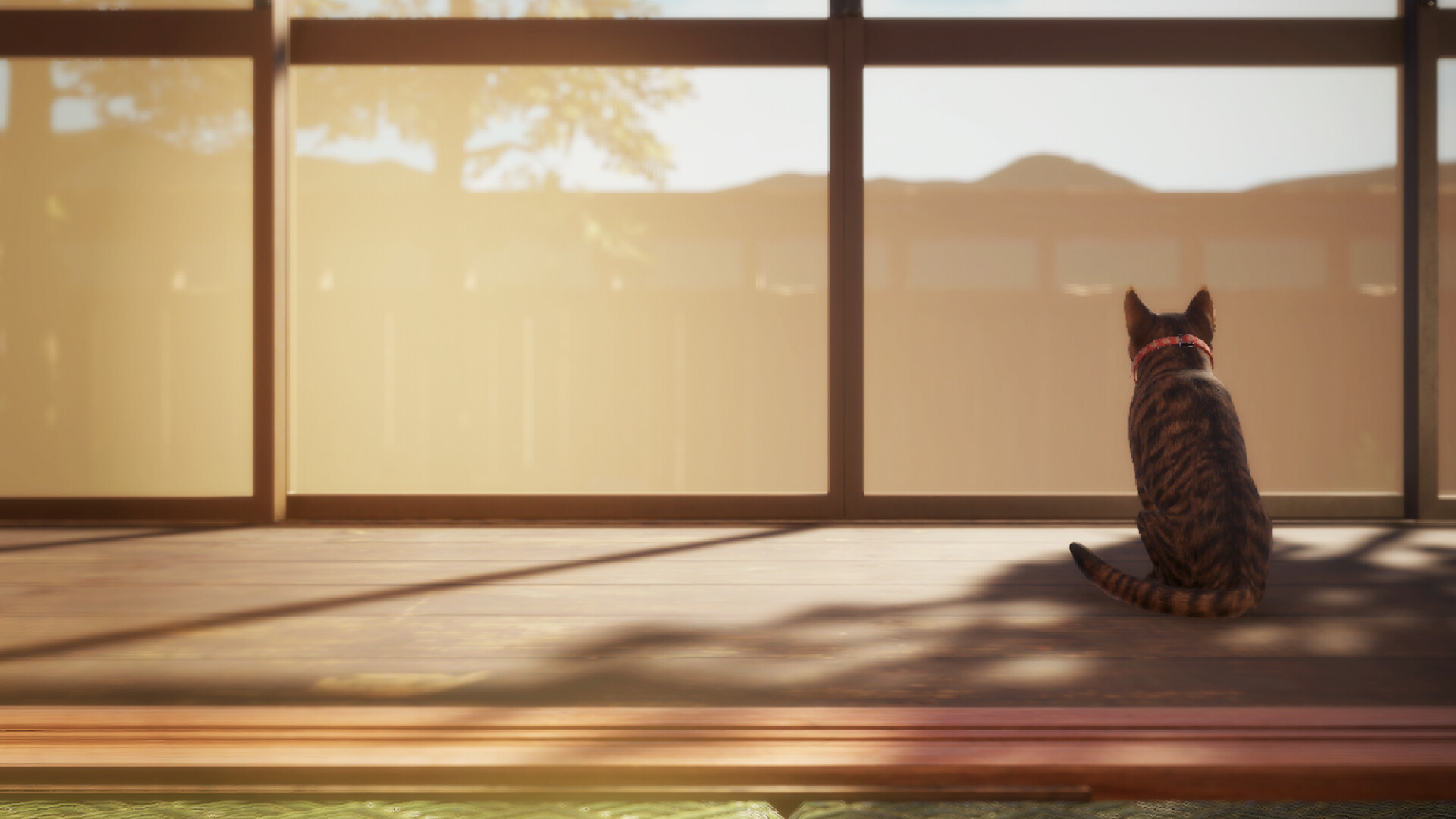 猫还在逃吗？/Still It Runs-幼小初高学社