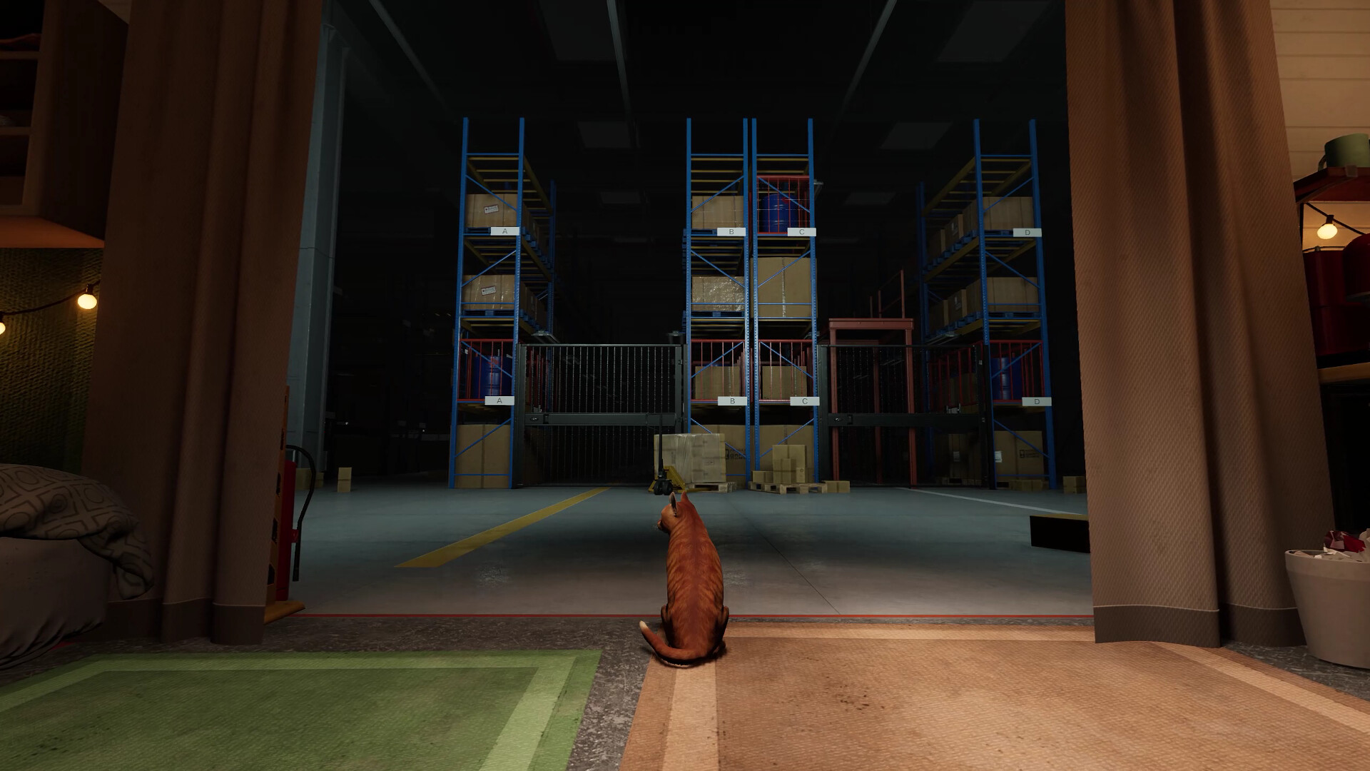 猫好货坏/ORDER 13-幼小初高学社